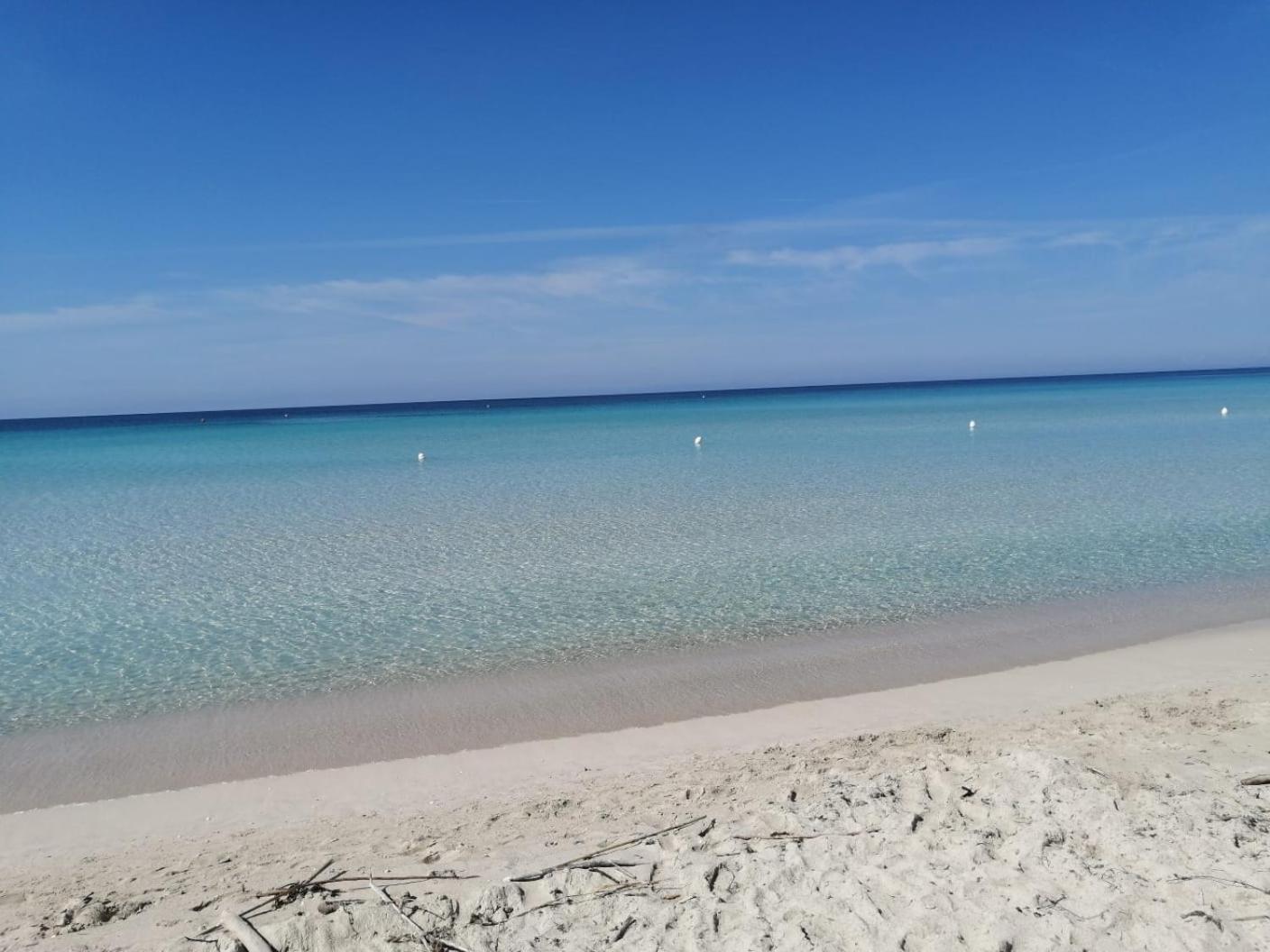 Bella Puglia Bed And Breakfast Ruvo di Puglia Eksteriør billede
